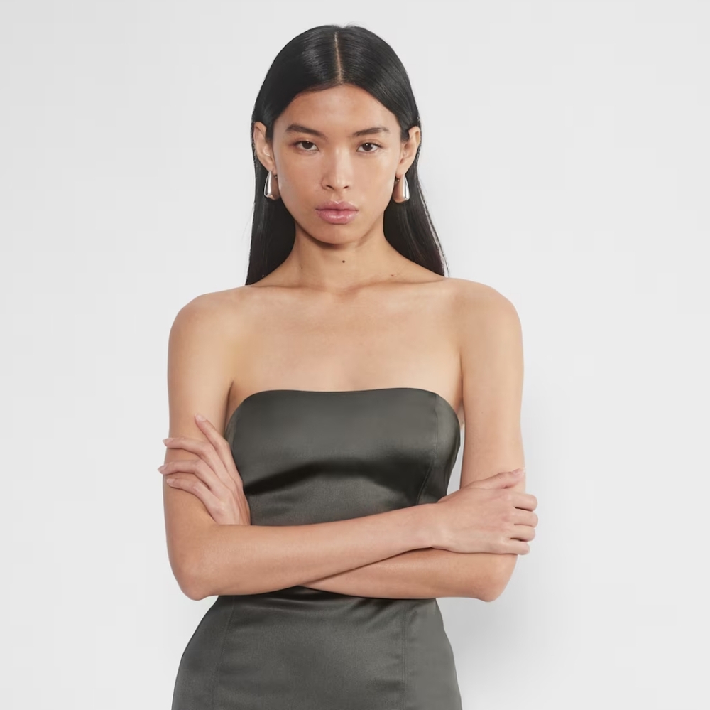 Aritzia Revenge Dress